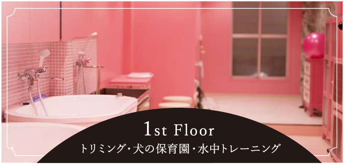 1st Floorトリミング・犬の保育園・水中トレーニング