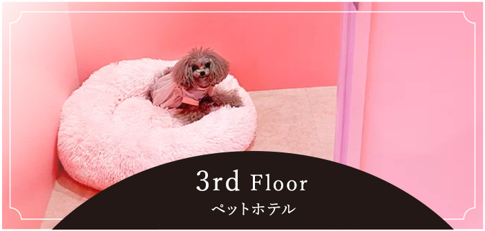 3rd Floorペットホテル