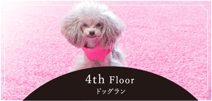 4th Floorドッグラン